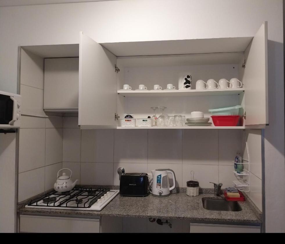 "Cerro Mausy" Lugar Centrico E Ideal Para Conocer Bodegas, Vinedos Y Montana! Apartment Lujan de Cuyo Екстериор снимка